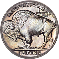 buffalo nickel