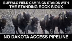 news 2016 09 19 01 01 Standing Rock