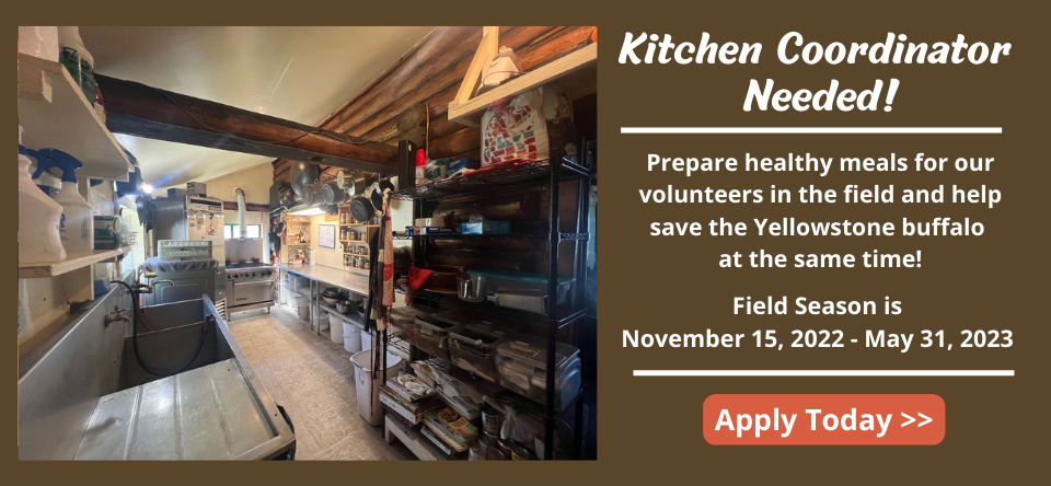 bfc kitchen coordinator website banner