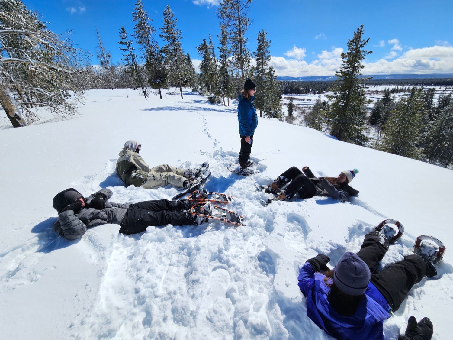 bfc volunteer tree timberline high 2