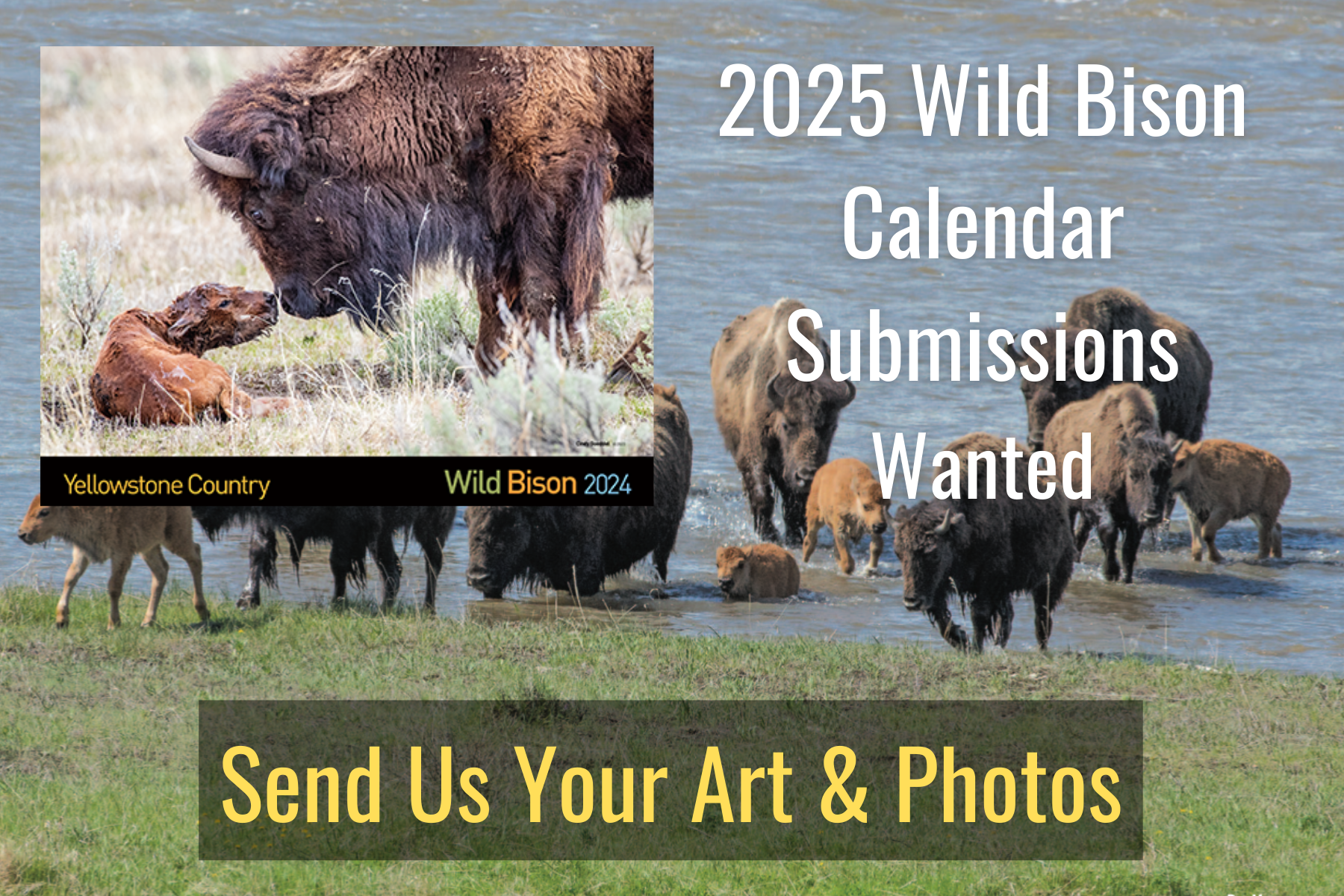 2023 Wild Bison Calendar Submissions