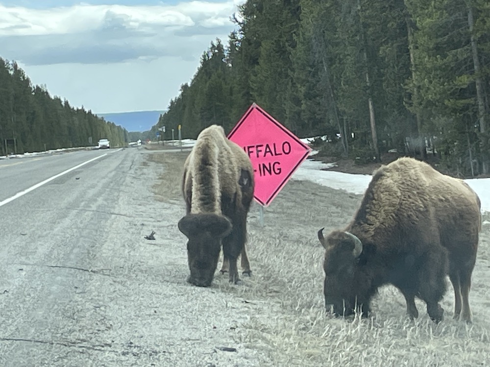 bfc update 2024 04 18 highway sign IMG 0231