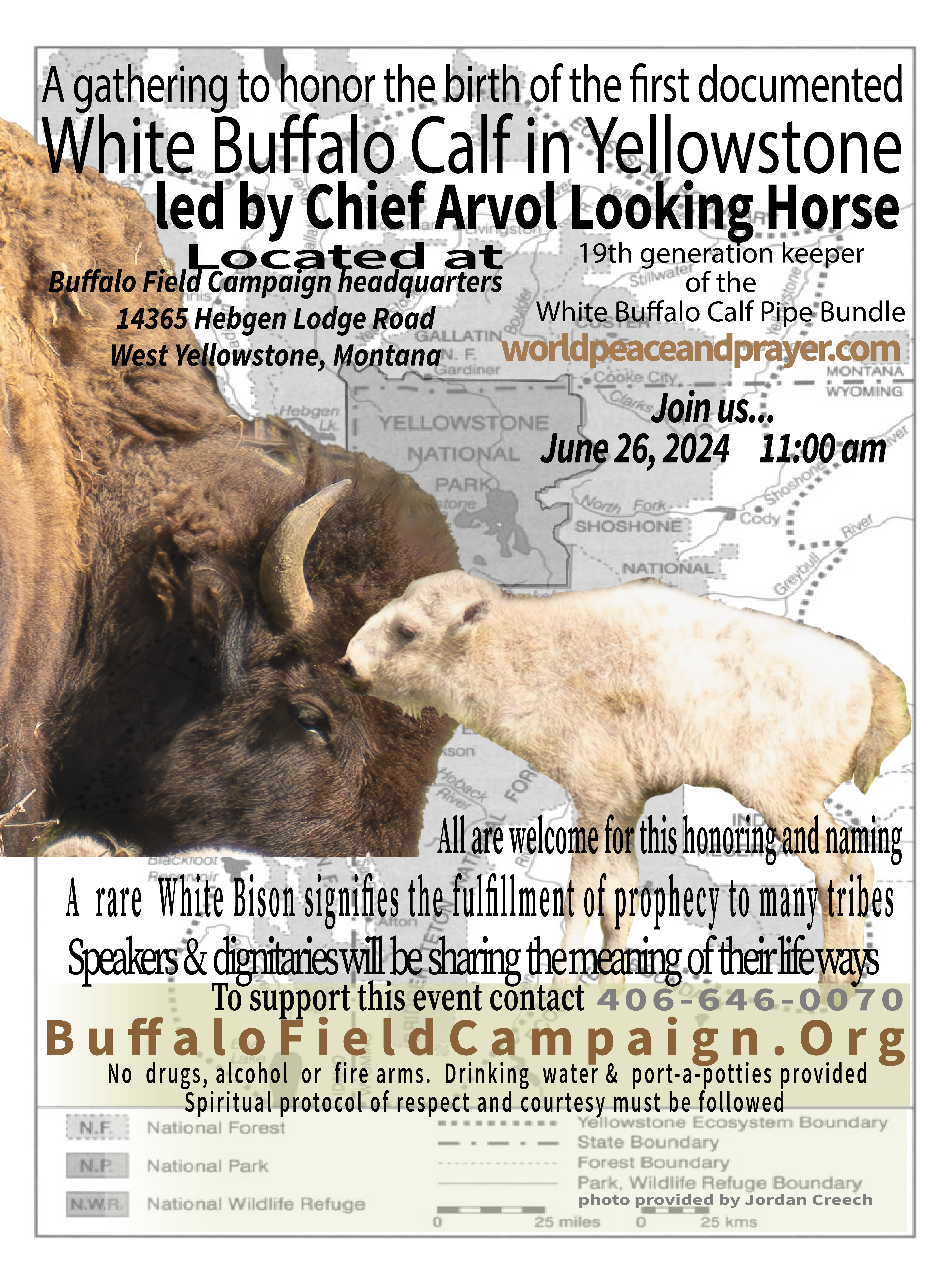 bfc white buffalo calf ceremony yellowstone white buffalo calf