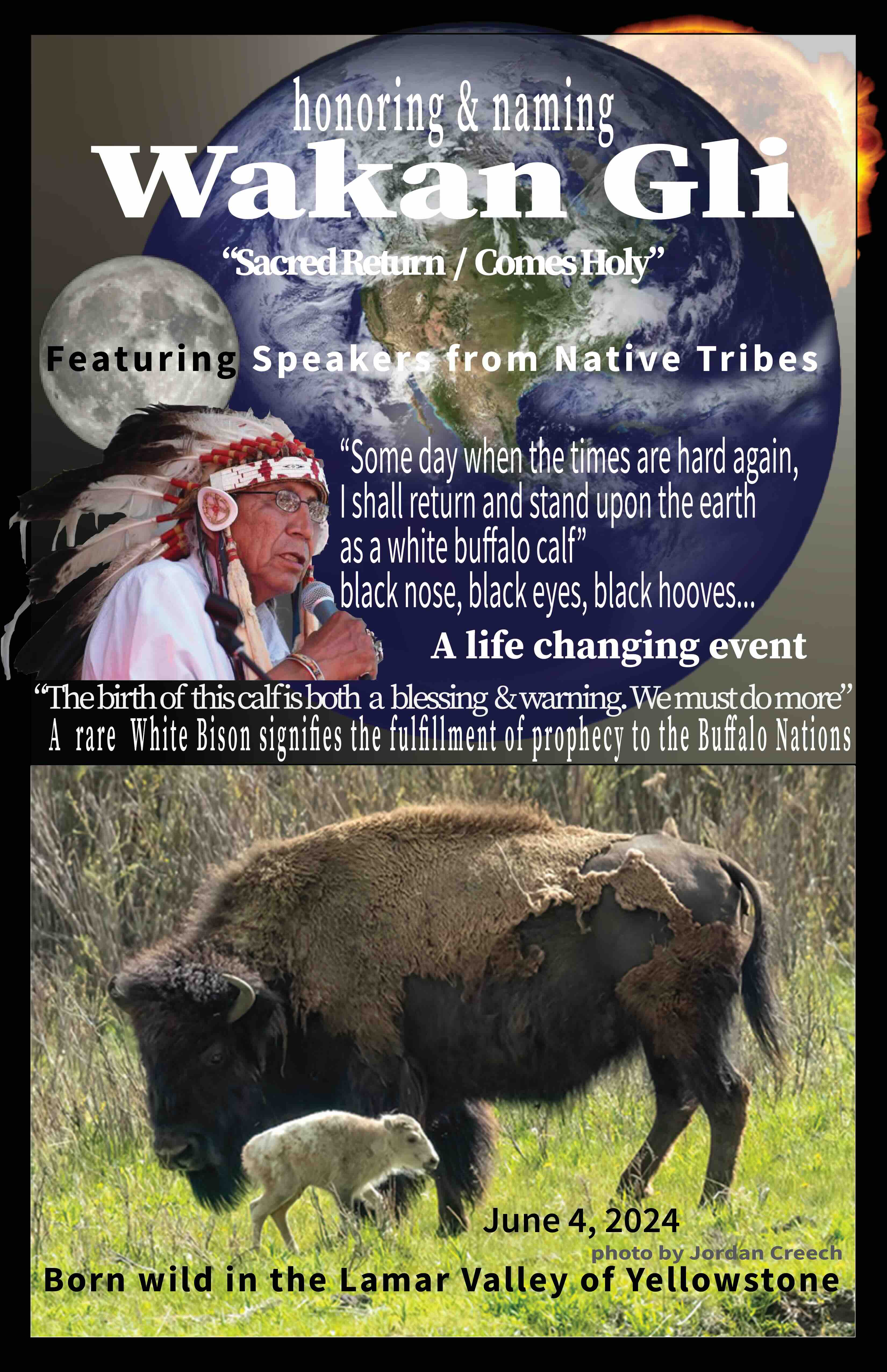 bfc white buffalo calf ceremony poster