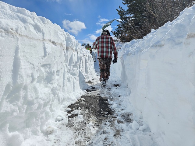 bfc wildlife crossing Bison Migration Tunnel