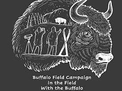 bfc in the field 1997 2024