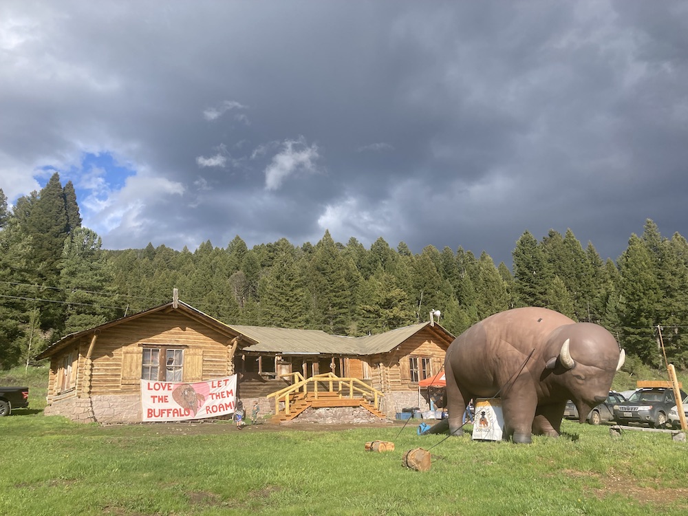 Buffalo Field Campaign Employment Opportunities