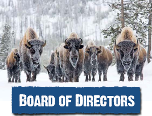 Board of Directors